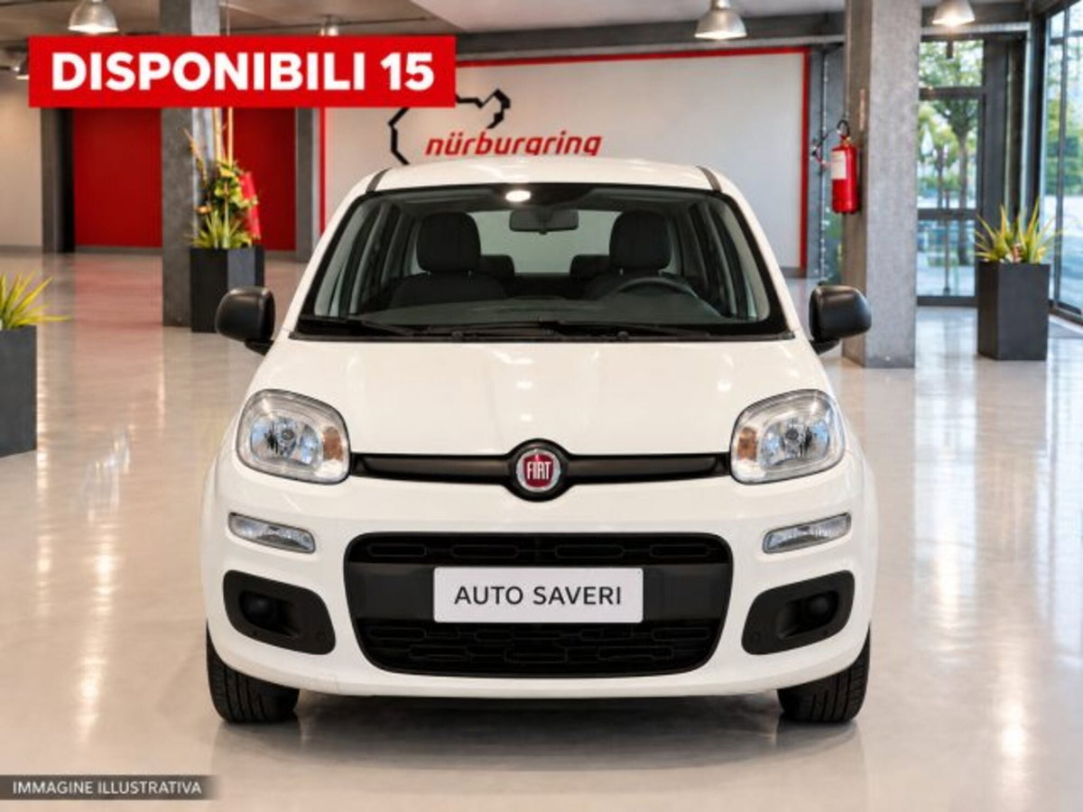 Fiat Panda 0.9 TwinAir Turbo S&S 4x4 (4)