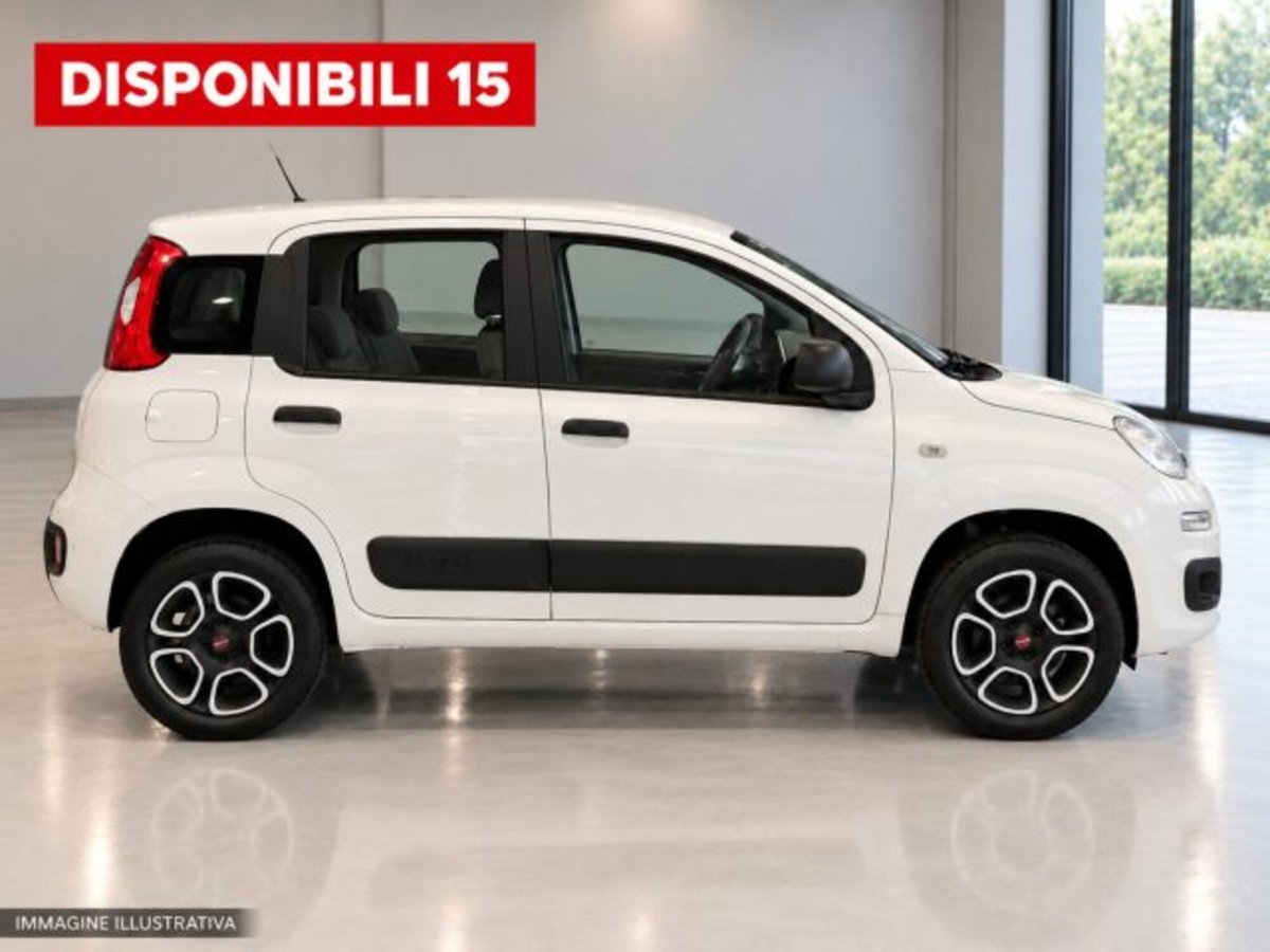 Fiat Panda 0.9 TwinAir Turbo S&S 4x4 (4)
