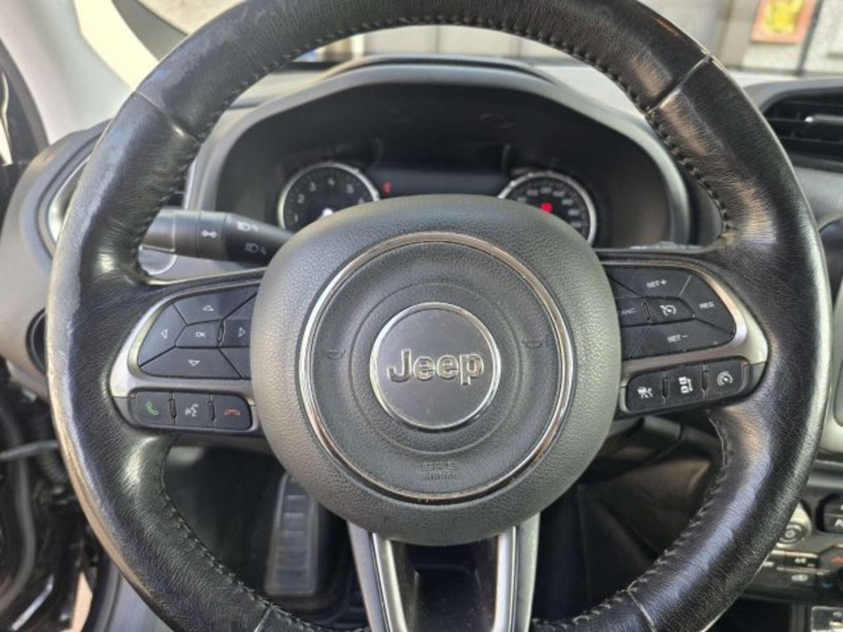 Jeep Renegade 1.3 T4 DDCT Limited (13)