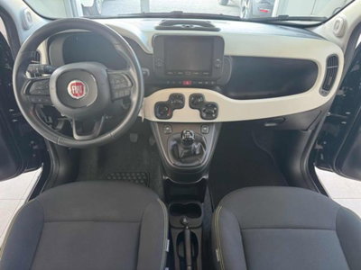 Fiat Panda Cross 1.0 firefly hybrid Cross s&s 70cv 5p.ti (12)