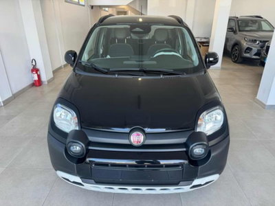 Fiat Panda Cross 1.0 firefly hybrid Cross s&s 70cv 5p.ti (2)