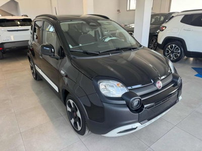 Fiat Panda Cross 1.0 firefly hybrid Cross s&s 70cv 5p.ti (3)