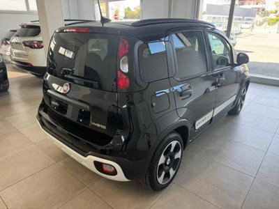 Fiat Panda Cross 1.0 firefly hybrid Cross s&s 70cv 5p.ti (4)