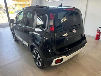 Fiat Panda Cross 1.0 firefly hybrid Cross s&s 70cv 5p.ti (6)