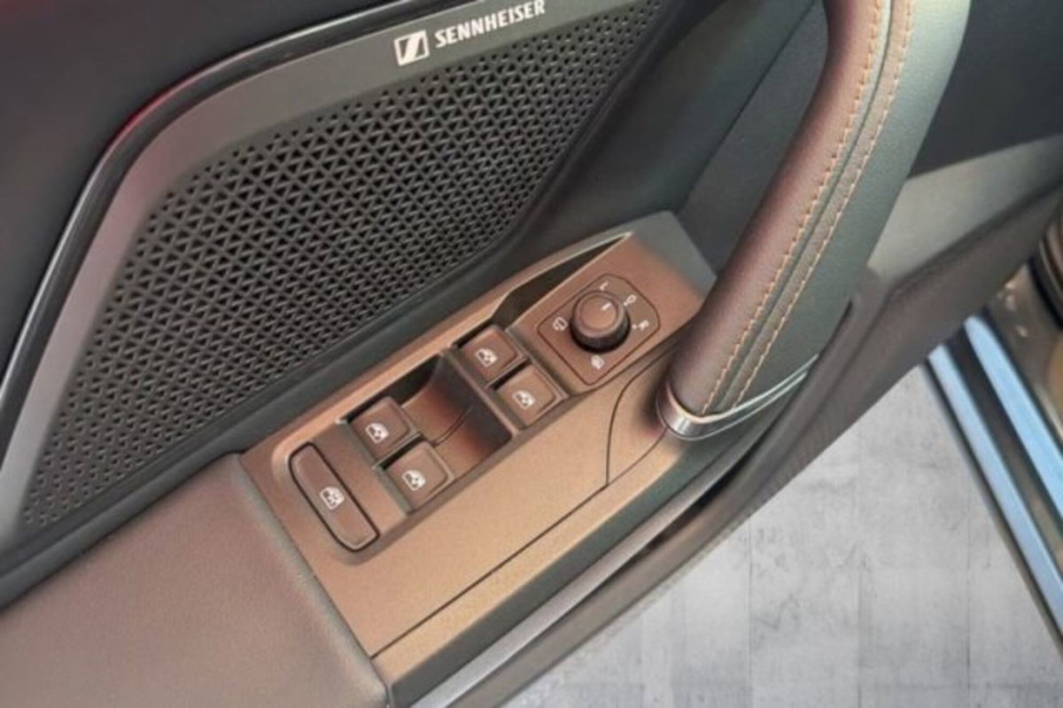 Cupra Formentor Formentor 2.0 TDI (7)