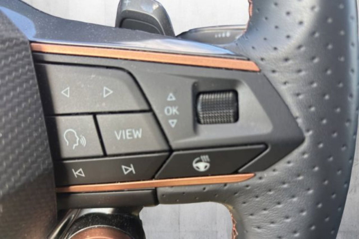 Cupra Formentor Formentor 2.0 TDI (7)