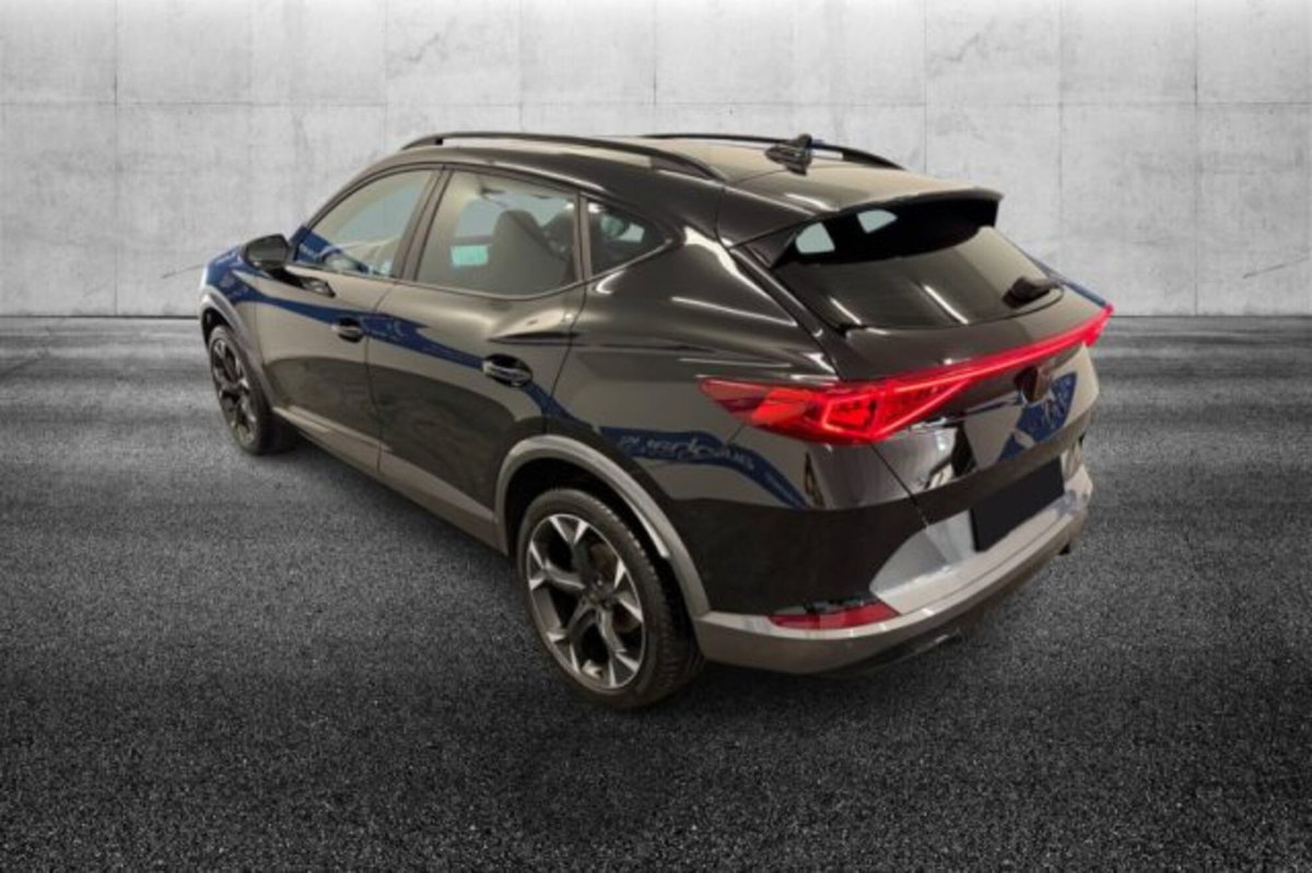 Cupra Formentor Formentor 2.0 tdi 4drive 150cv dsg (3)