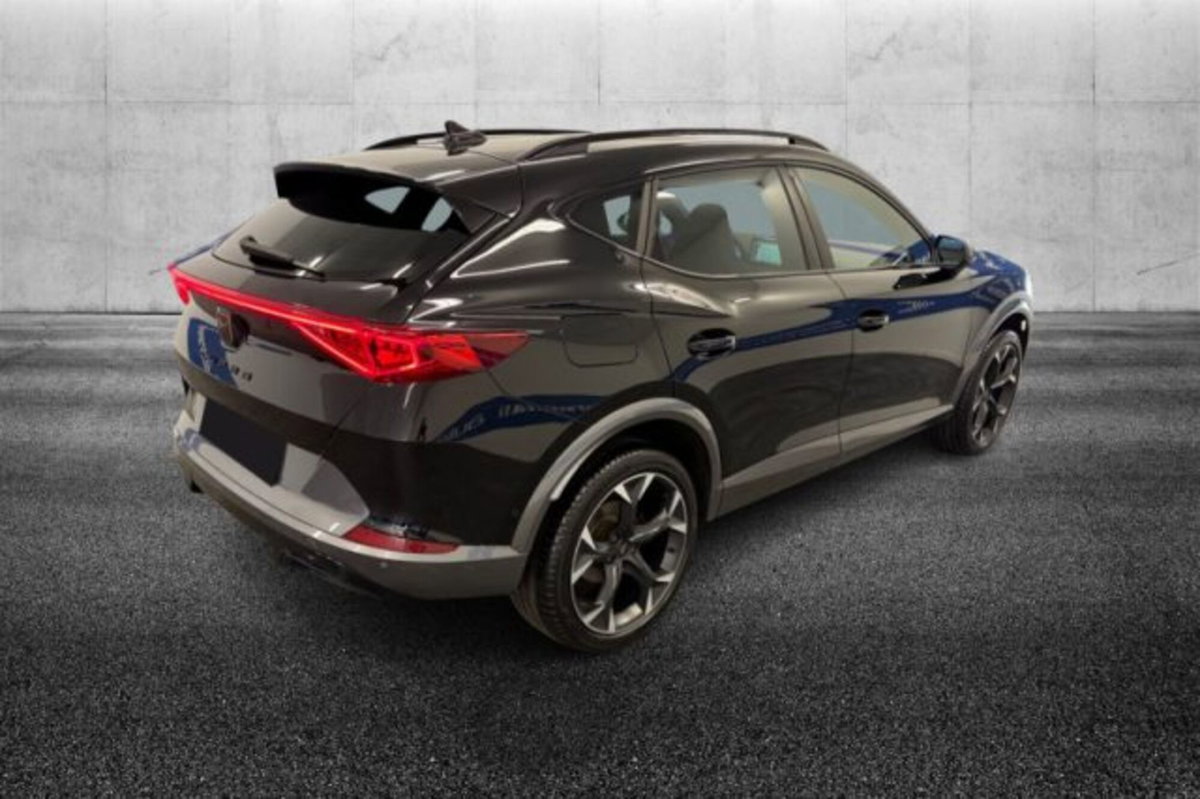 Cupra Formentor Formentor 2.0 tdi 4drive 150cv dsg (4)