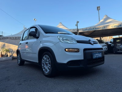 Fiat Panda Cross Cross 1.0 FireFly S&S Hybrid usata