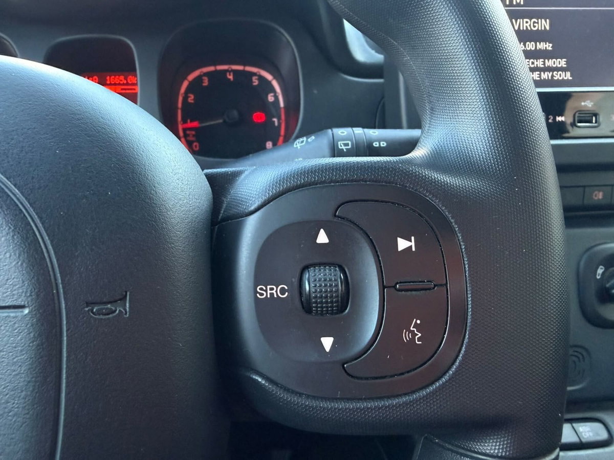 Fiat Panda Cross Cross 1.0 FireFly S&S Hybrid (10)