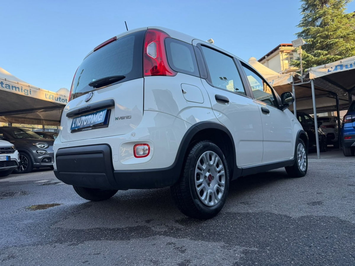 Fiat Panda Cross Cross 1.0 FireFly S&S Hybrid (2)