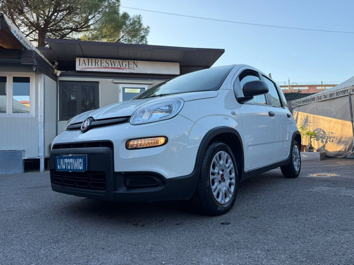 Fiat Panda Cross Cross 1.0 FireFly S&S Hybrid (3)