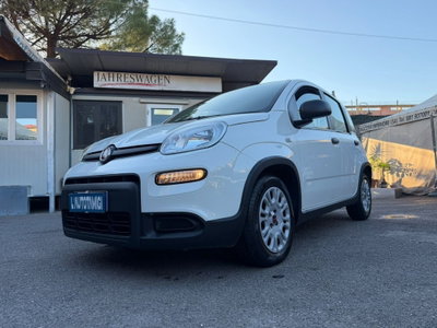 Fiat Panda Cross Cross 1.0 FireFly S&S Hybrid (3)
