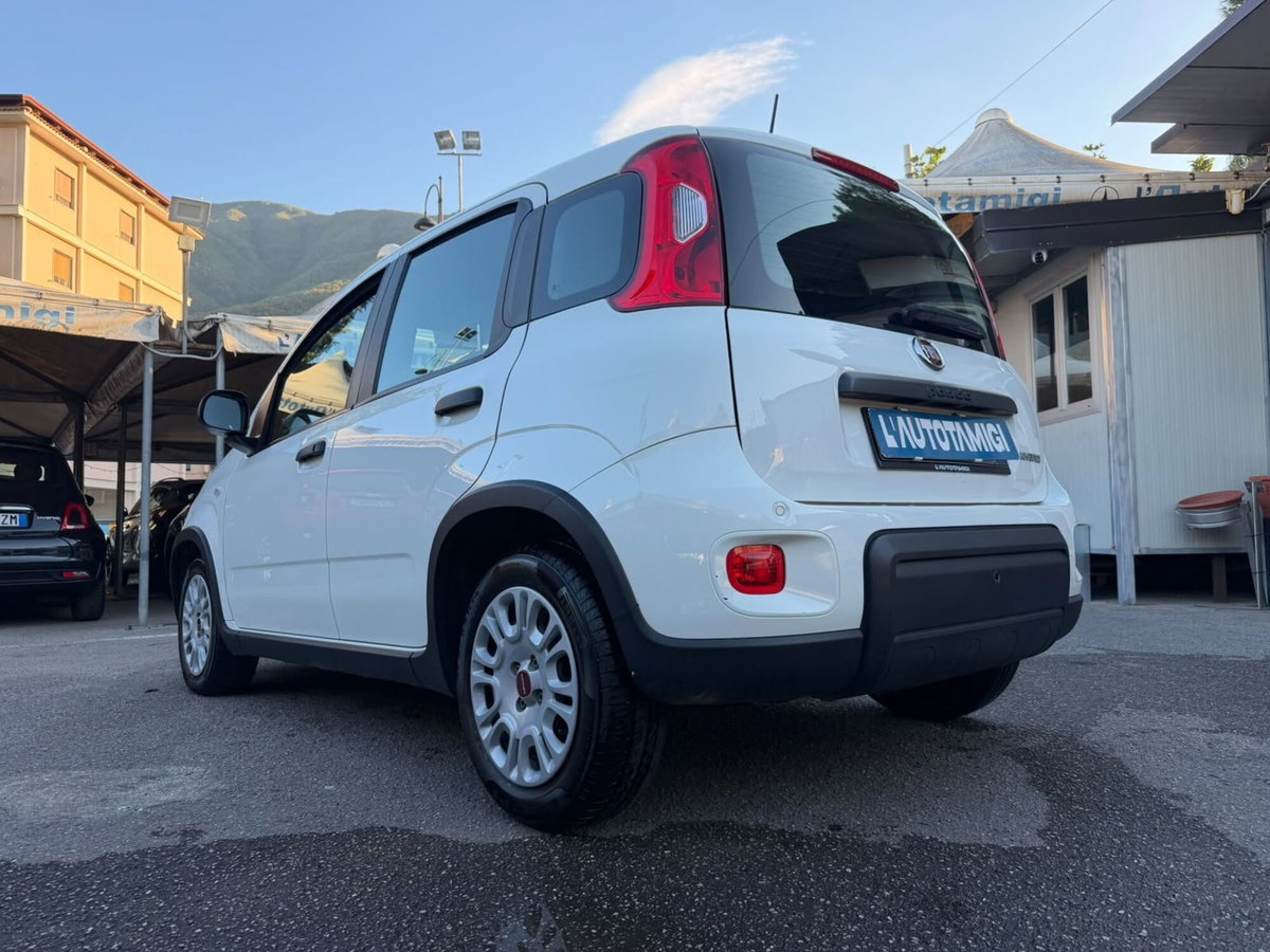 Fiat Panda Cross Cross 1.0 FireFly S&S Hybrid (4)