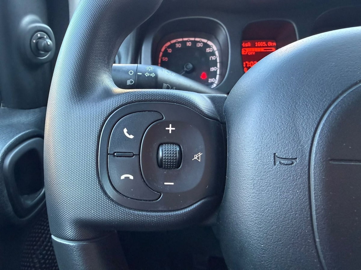 Fiat Panda Cross Cross 1.0 FireFly S&S Hybrid (9)