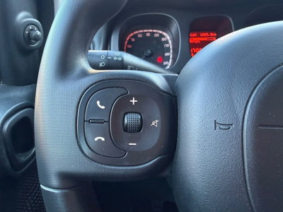 Fiat Panda Cross Cross 1.0 FireFly S&S Hybrid (9)