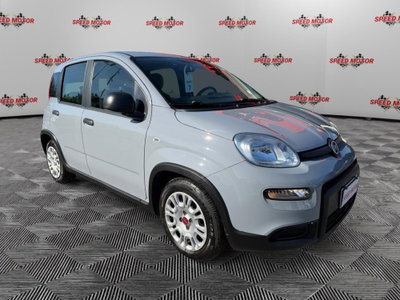 Fiat Panda Cross Cross 1.0 FireFly S&S Hybrid usata