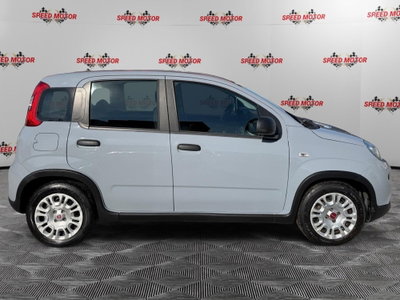 Fiat Panda Cross Cross 1.0 FireFly S&S Hybrid (2)