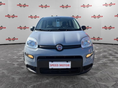 Fiat Panda Cross Cross 1.0 FireFly S&S Hybrid (3)