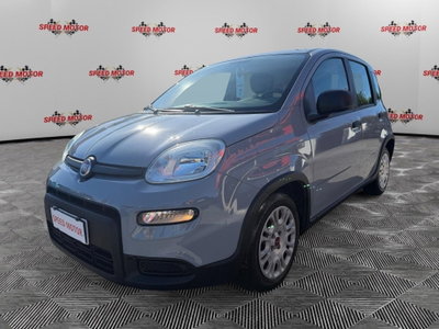 Fiat Panda Cross Cross 1.0 FireFly S&S Hybrid (4)