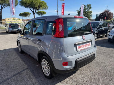Fiat Panda Cross Cross 1.0 FireFly S&S Hybrid (5)