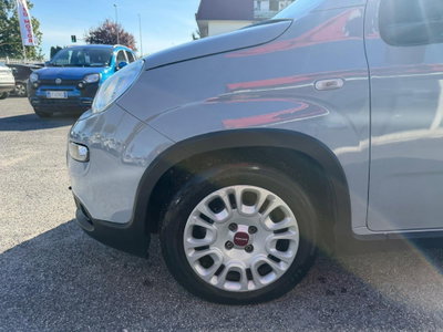 Fiat Panda Cross Cross 1.0 FireFly S&S Hybrid (8)