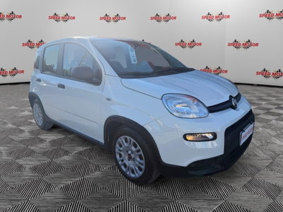 Fiat Panda Cross Cross 1.0 FireFly S&S Hybrid usata