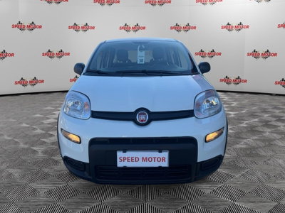 Fiat Panda Cross Cross 1.0 FireFly S&S Hybrid (2)