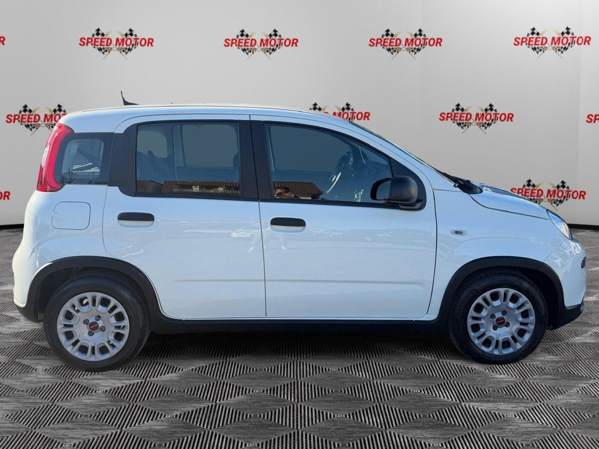 Fiat Panda Cross Cross 1.0 FireFly S&S Hybrid (3)