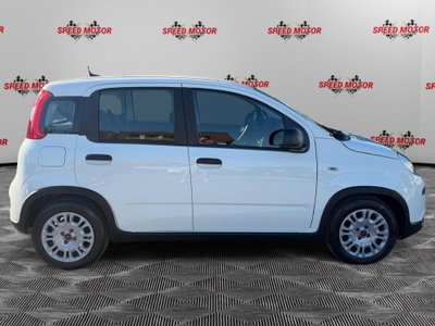Fiat Panda Cross Cross 1.0 FireFly S&S Hybrid (3)