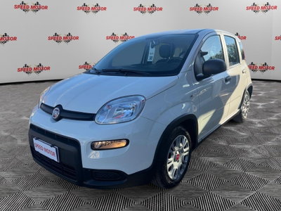 Fiat Panda Cross Cross 1.0 FireFly S&S Hybrid (4)