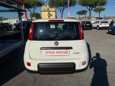Fiat Panda Cross Cross 1.0 FireFly S&S Hybrid (5)