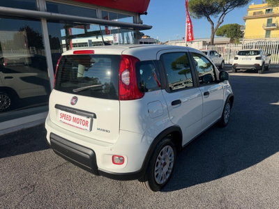 Fiat Panda Cross Cross 1.0 FireFly S&S Hybrid (6)