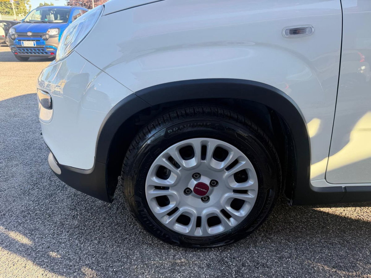 Fiat Panda Cross Cross 1.0 FireFly S&S Hybrid (8)