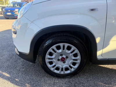 Fiat Panda Cross Cross 1.0 FireFly S&S Hybrid (8)