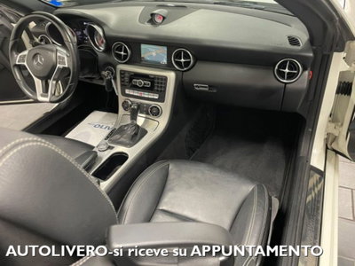 Mercedes-Benz SLK 250 CDI Sport (12)