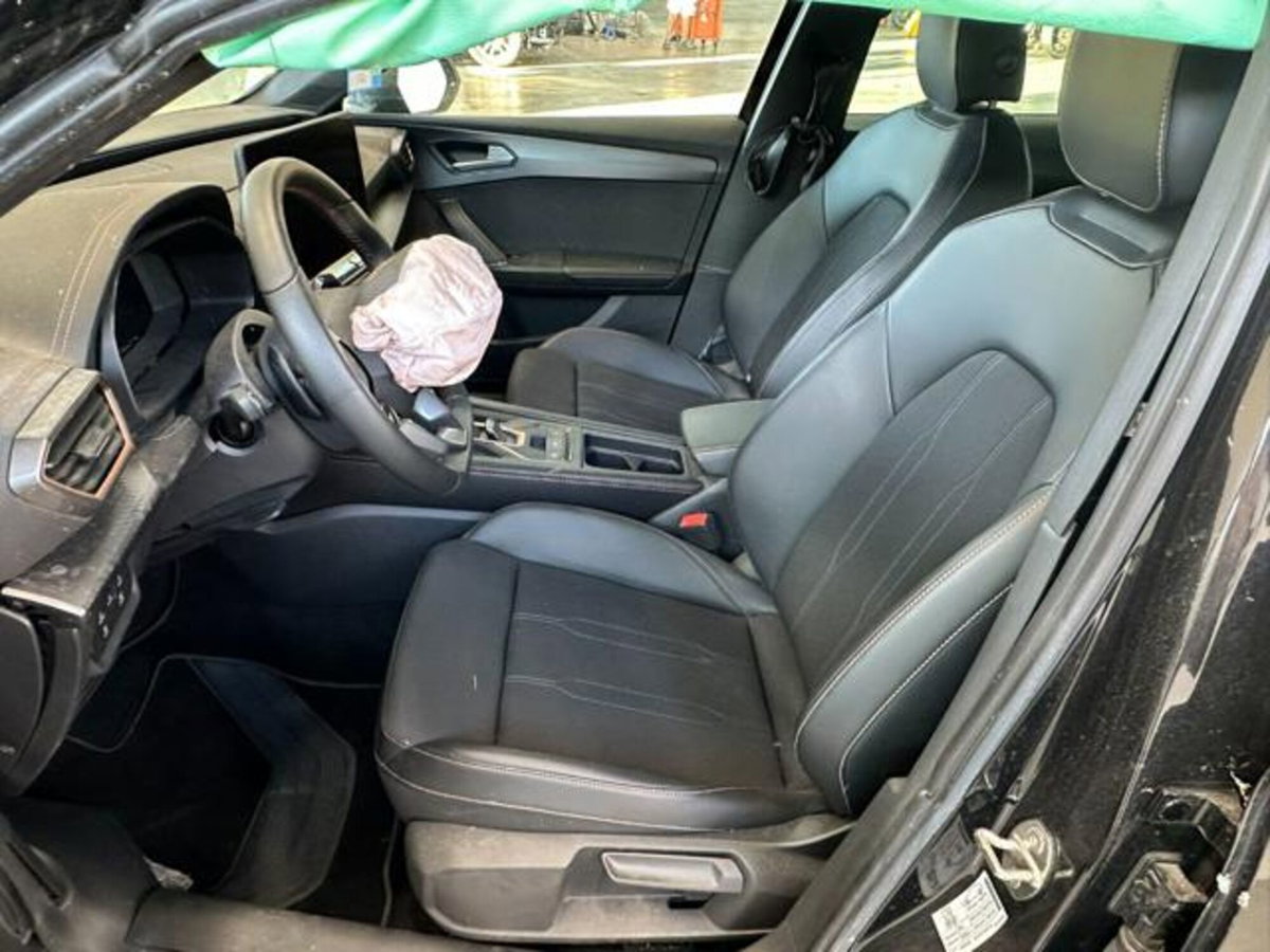 Cupra Leon Station Wagon Leon Sportstourer 2.0 tdi 4drive 150cv dsg (14)