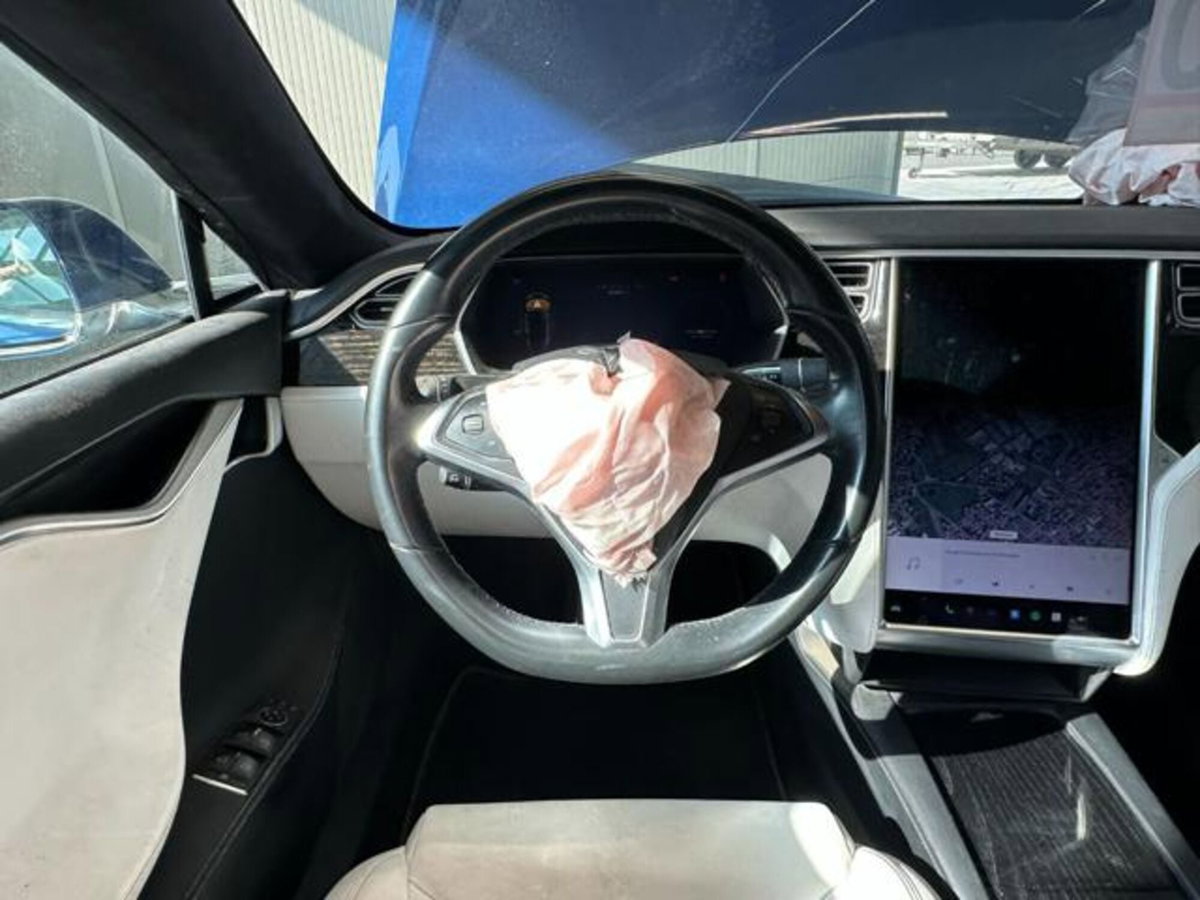 Tesla Model S Model S 100kWh All-Wheel Drive (15)