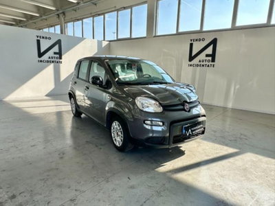 Fiat Panda 1.0 firefly hybrid s&s 70cv 5p.ti usata