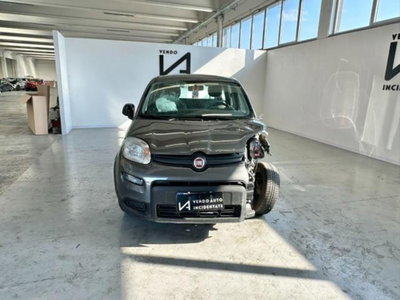 Fiat Panda 1.0 firefly hybrid s&s 70cv 5p.ti (2)