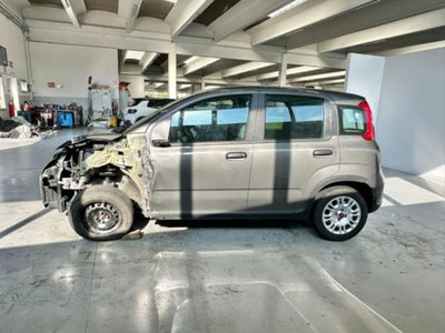 Fiat Panda 1.0 firefly hybrid s&s 70cv 5p.ti (4)