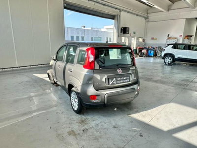 Fiat Panda 1.0 firefly hybrid s&s 70cv 5p.ti (5)