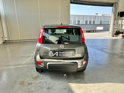 Fiat Panda 1.0 firefly hybrid s&s 70cv 5p.ti (6)