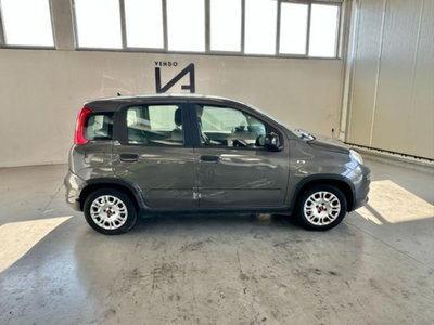 Fiat Panda 1.0 firefly hybrid s&s 70cv 5p.ti (8)