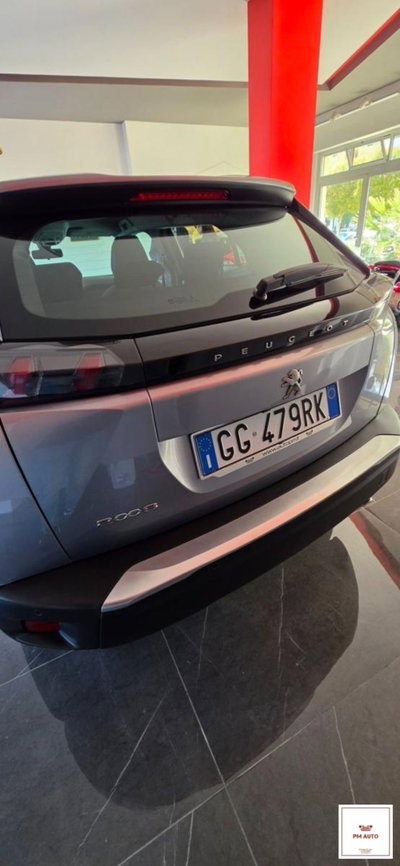 Peugeot 2008 BlueHDi 110 S&S Active Pack (6)