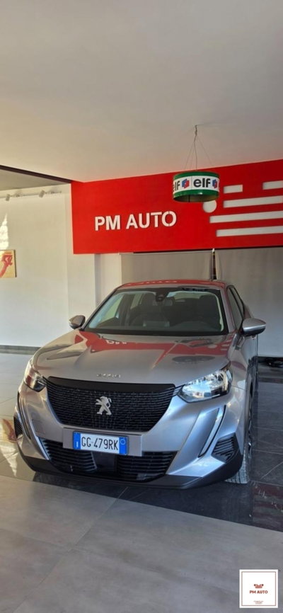 Peugeot 2008 BlueHDi 110 S&S Active Pack (7)