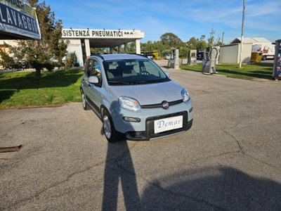 Fiat Panda 1.0 FireFly S&S Hybrid City Cross usata