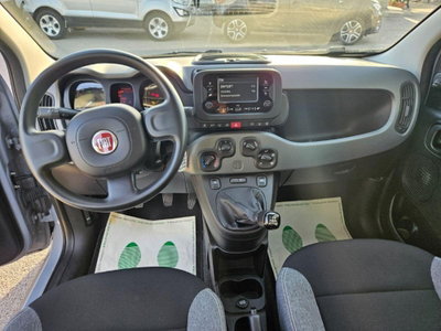 Fiat Panda 1.0 FireFly S&S Hybrid City Cross (11)