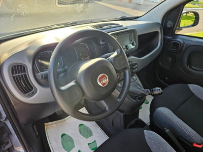 Fiat Panda 1.0 FireFly S&S Hybrid City Cross (12)