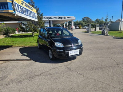Fiat Panda 1.2 EasyPower Easy usata